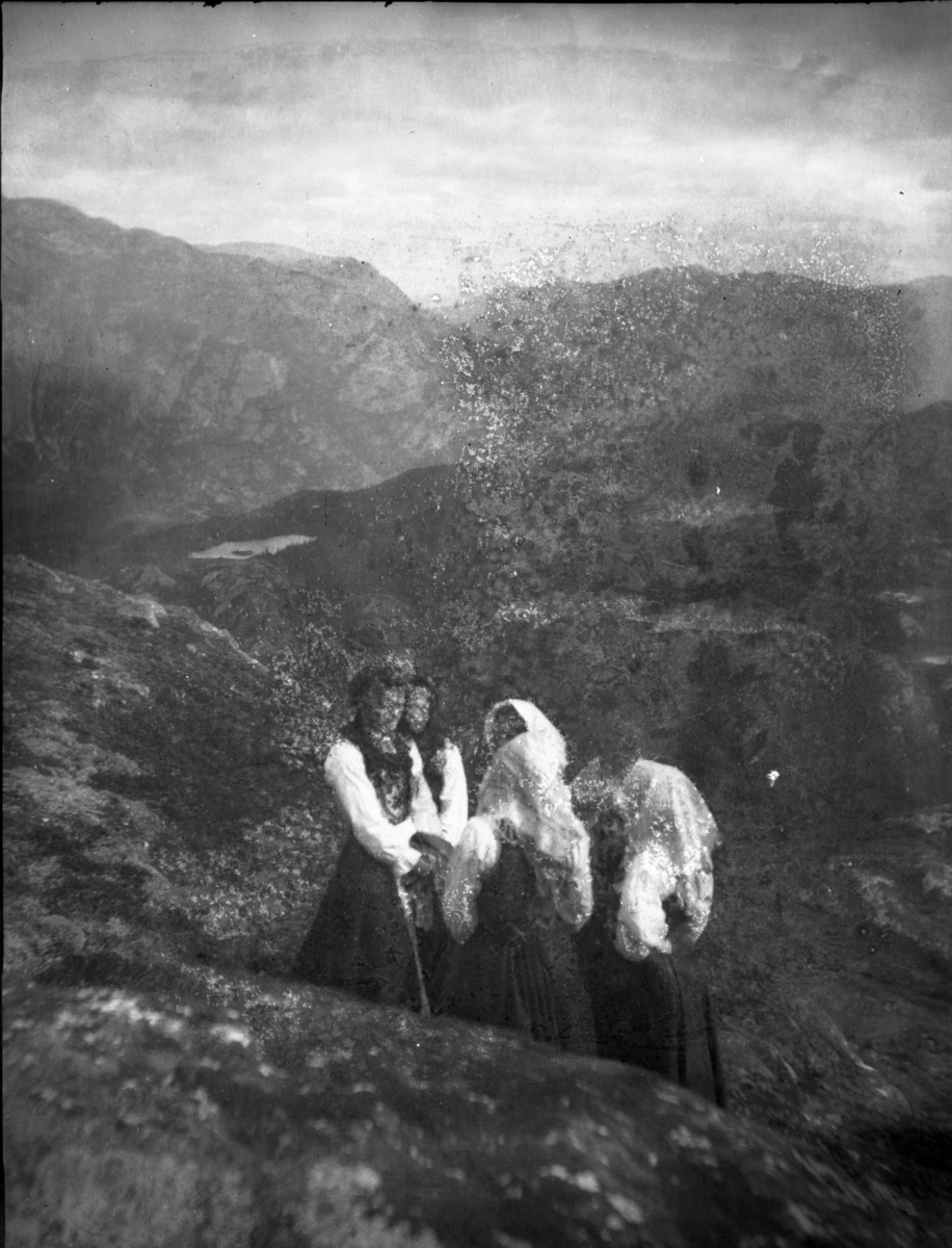 Rikard Berges fotoarkiv. 8 negativer. Gruppe mennesker på fjellet, kvinner i bunader.
Bilde nr. 123.

Fotografier tatt av Rikard Berge. 642 nummer. Samlingen består av negativer bladfilm. Motivene er ført inn i egen protokoll av Berge. Protokollen har tittel "Bilæt-emne"