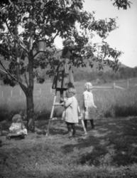 Innhøsting, Italia?