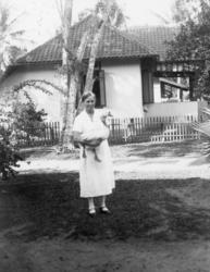 Dame med gås, Fra Nederlandsk Ostindia