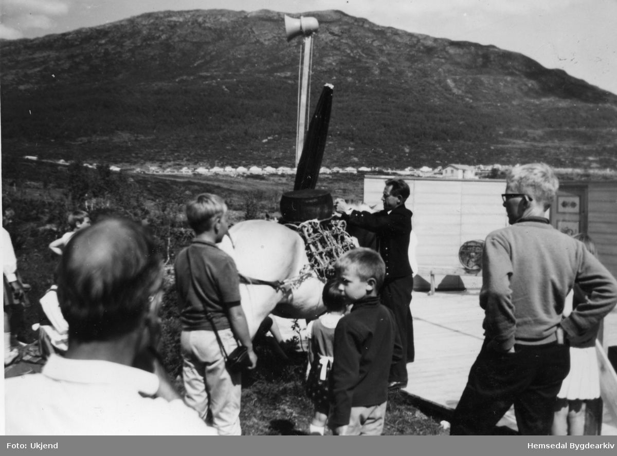 Engebret Lien viser fram hest med kløvjeutstyr på "Fjelldansen" 1965 i Holdeskaret