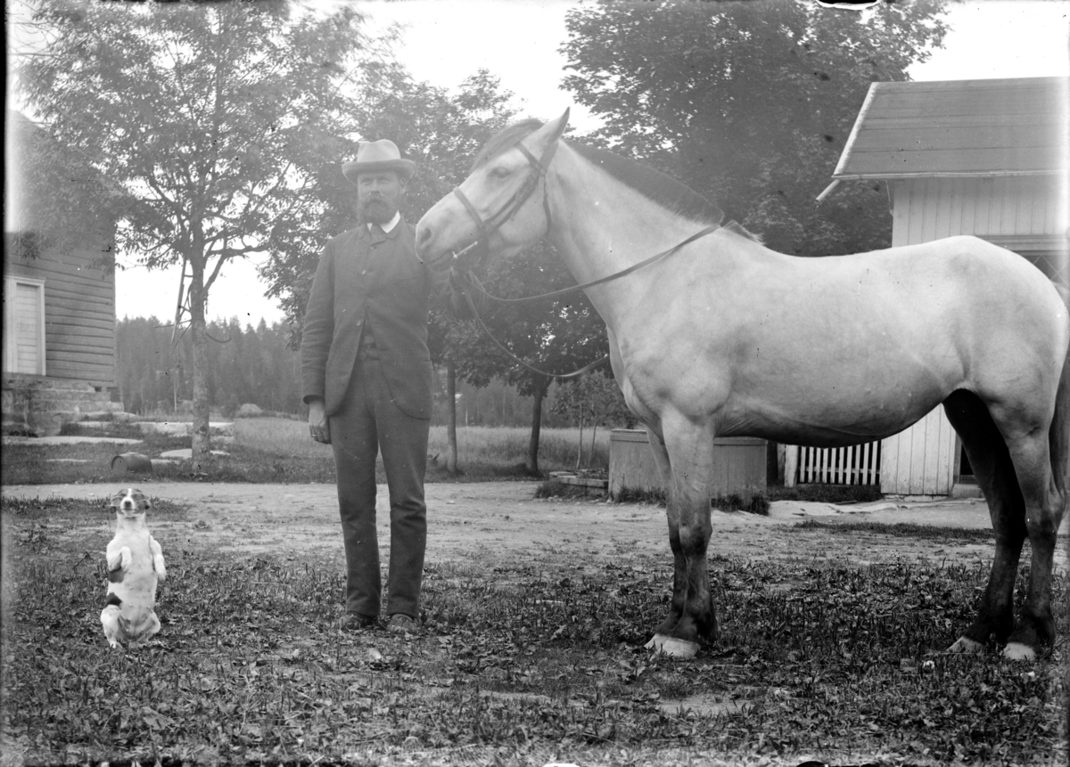 Mann med hest - og sittende hund