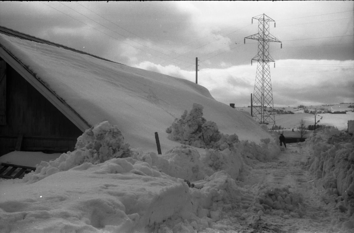Fire bilder som illustrerer snømengden april 1951. Bildene er fra Evang østre på Lena, Ø.Toten, to ved hovedbygningen, to ved låven.