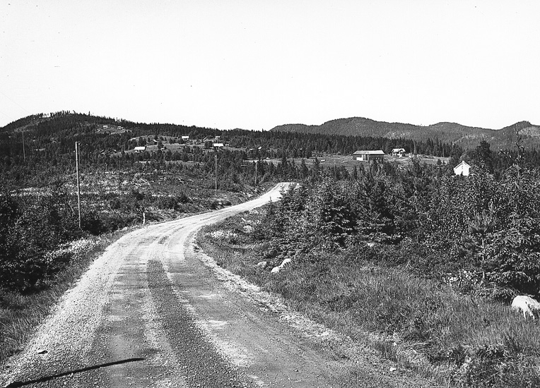 Vägen mellan Nyskoga och Bjurberget.