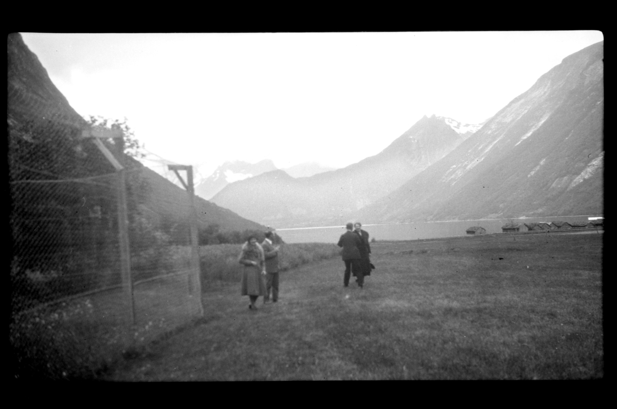 Fire ukjente personer står i et landskap med en revefarm, flere hus ligger langs bredden ved en fjord. Fotografert 1927.