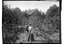 Trygve Sundt står med sin frue Elisabeth i hagen på Farøy. F