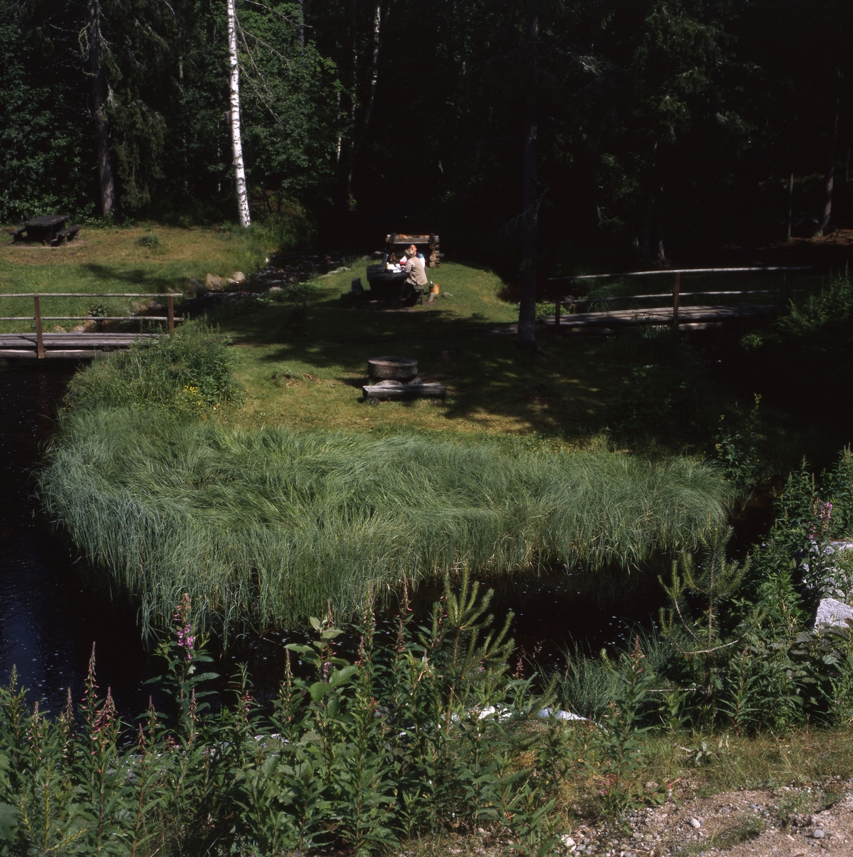 Trolldalen i Växbo, 12 juli 1996. Några människor ha picknick på en liten ö vid ett skogsbryn. Två smala spänger leder ut till ön.