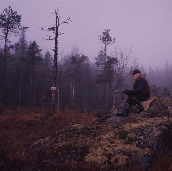 Älgjakt i Arbråskogarna 13 oktober 1980. En jägare beredd med geväret sitter på pass på en mossig sten ute på en myr.