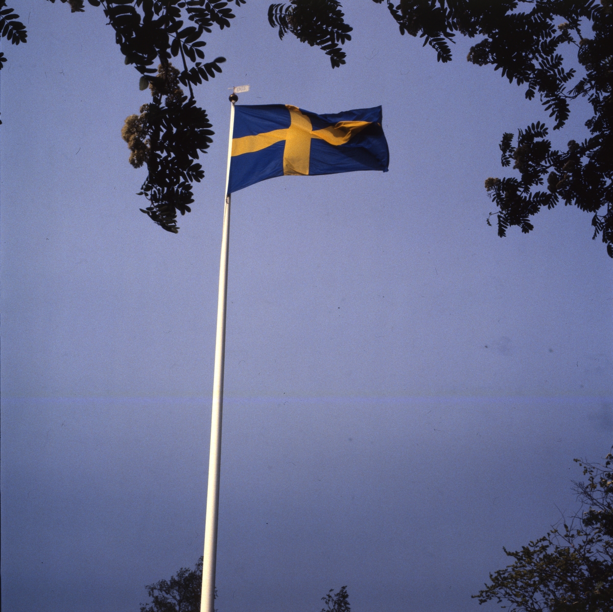 Flaggstång med svenska flaggan mot blå himmel, juni 1983.