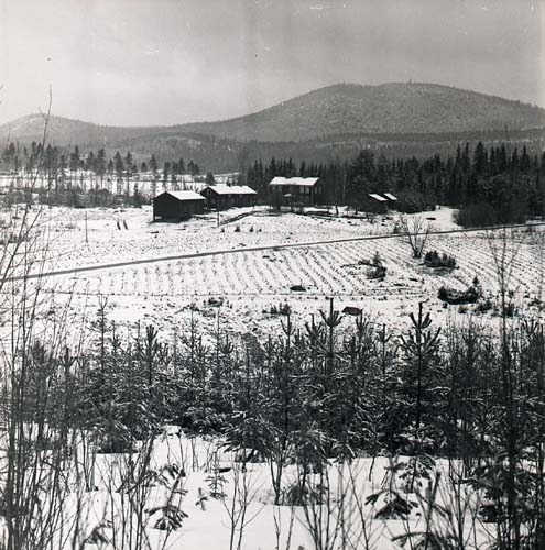 Vy mot Broddböle kronoboställe, från bergssluttningen sydost om gården. Skogsplanteringen börjar synas nu. Höle klack i bakgrunden. Fotograferat från Klackberget, april 1964.