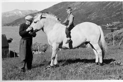 Alfred Aune med fjordingen "Kraft". En gutt  sitter på heste