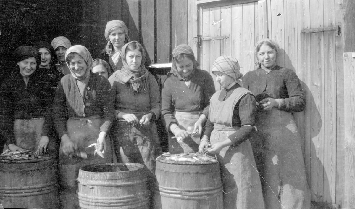 "Sillkvärkning" i Smögen april 1915. Kvinnliga fiskearbetare står vid tunnor med sill.