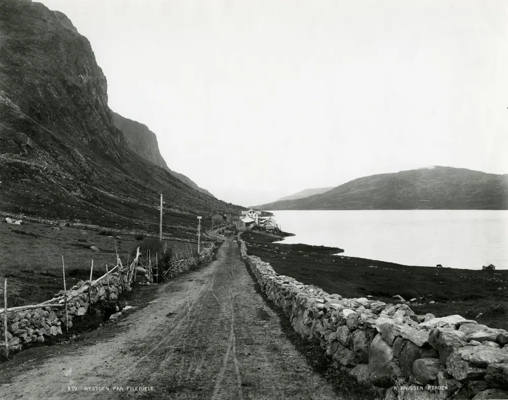 Veg og hus i fjellet