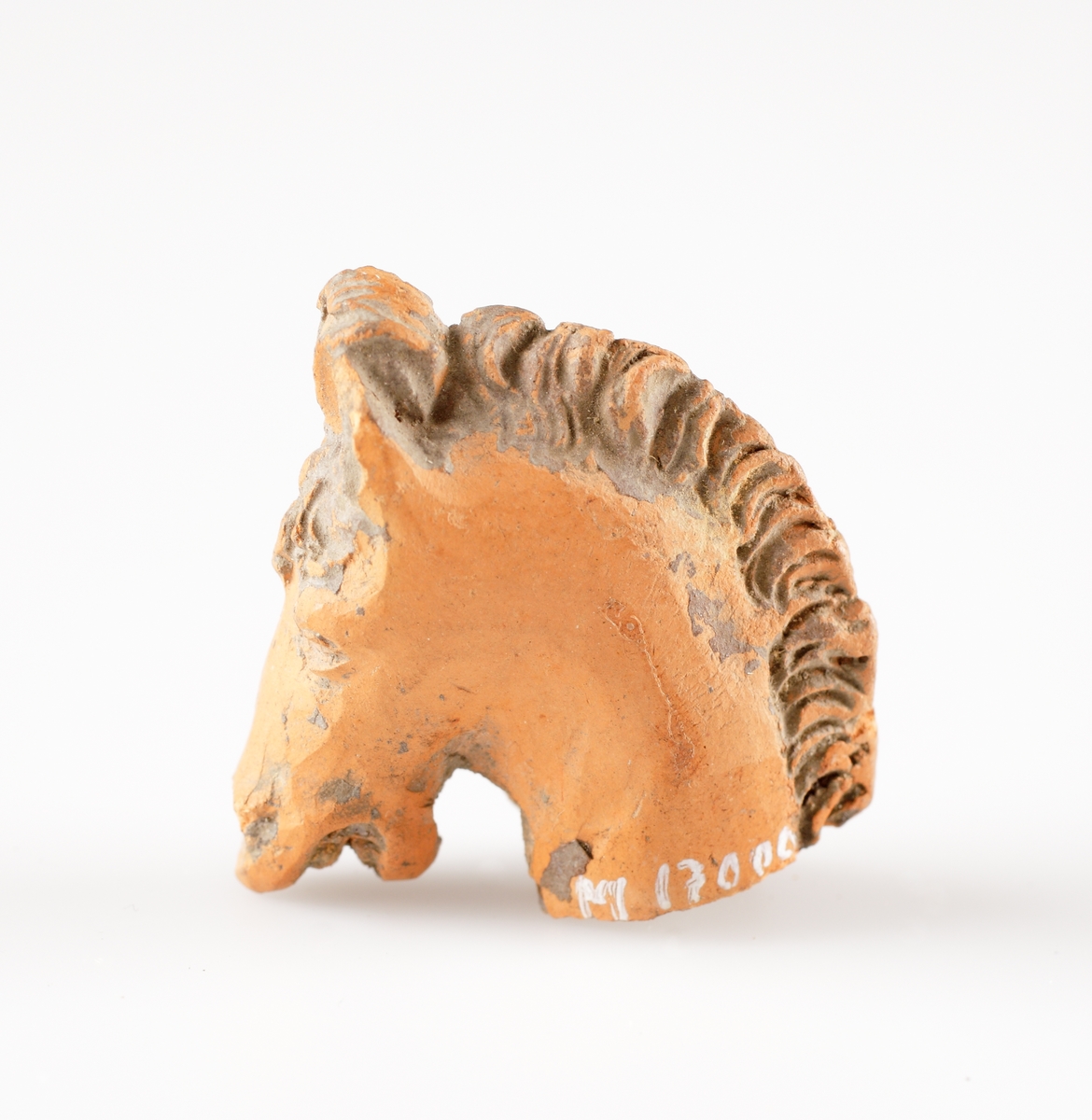 Fragment av en statyett i bränd lera, föreställande ett hästhuvud. Avbruten vid halsen. Ihålig. Sammanhör troligen med M 17000-2543 och 2544. Kan ha utgjort en ryttarstatyett. Troligen tillverkad i Nederländerna.