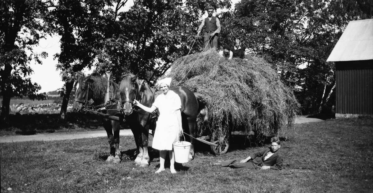Hölass med två förspända hästar vid gårdsknuten. En vitklädd kvinna med hink håller i hästarna och på hölasset ligger två flickor och en yngling håller i tömmarna, medan en pojke ligger i gräset nedanför.
