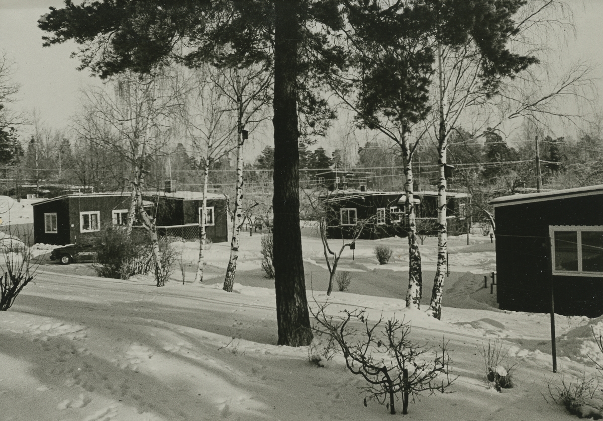 Exteriör. Vinter i Höjdhagen, Gustavsberg.
