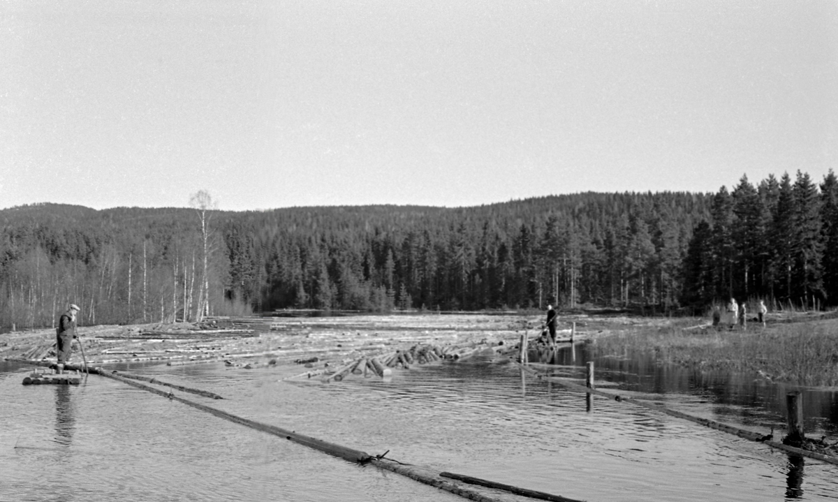 Tapping av Åbogdammen i Sæteråa i Sør-Odal i 1954.  Fotografiet er tatt fra damkrona innover vannreservoaret.  I forgrunnen er det lagt lenser en en slags traktform fra tømmerløpet og innover dammen.  En fløter på flåte til venstre i bildet og en på land (til høyre) arbeider tømmeret inn i den innlensete passasjen.  Ei kvinne og tre barn ser på arbeidet fra strandbakken til høyre.  I bakgrunnen granskog. 