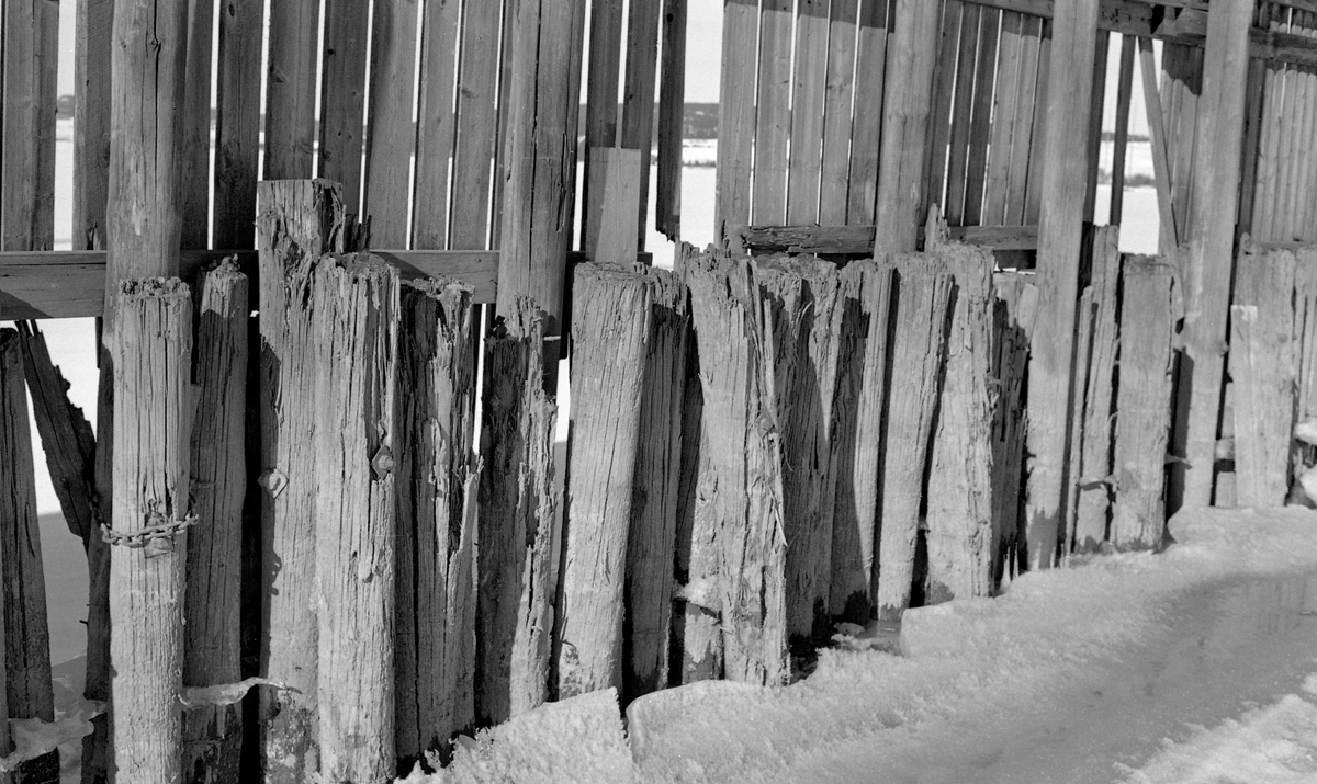 Detalj fra tømmerskjermen på Vestvollen i Fet, like ved Nitelvvassdragets utløp i Glommavassdraget i nordenden av innsjøen Øyeren.  Dette fotografiet er tatt på seinvinteren i 1958, på et tidspunkt da vassdraget var islagt og snødekt.  Fotografiet viser tydelig at den om lag 650 meter lange skjermen var bygd i to etapper, med en lav «stolpegard» først og en høyere og nyere plankeskjerm bakenfor.  Fetværingene kalte denne konstruksjonen for «Vindveggen», lillestrømlingene brukte betegnelsen «Stormgjerdet».  Vindveggen, Svelle.

Årsaken til at det var reist en slik skjerm her var at sagbrukene og cellulosefabrikken på Lillestrøm kjøpte mye tømmer oppover langs Glommavassdraget.  Dette virket ble fløtet ned til Fetsund lenser, der det ble sortert etter kjøpermerker og «soppet» (buntet). Deretter ble det buksert rundt neset som skiller lenseanlegget på Fetsund og Nitelvvassdraget og lagt ved Vestvollen, altså på vestsida av det samme neset.  Her hadde den nevnte industrien på Lillestrøm et flytende tømmerlager, der «soppene» (tømmerbuntene) lå inn til sagbrukene eller cellulosefabrikken hadde behov for det i sin produksjon. Vinder fra nord eller nordvest kunne skape bølger og dermed øve et betydelig press på soppene, som i verste fall kunne slite seg og drive tilbake mot Glommavassdraget. Dette var bakgrunnen for at den avbildete skjermen ble reist, først som en lav stolpegard - ei rekke av tettstilte påler som ble drevet ned i botnslammet - seinere av den langt høyere plankeveggen vi ser på dette fotografiet.  Vinden, vannet og ikke minst isen slet på disse konstruksjonene. Tilsyns- og reparasjonsarbeider ble helst gjort vinterstid, da isen var en utmerket arbeidsplattform.