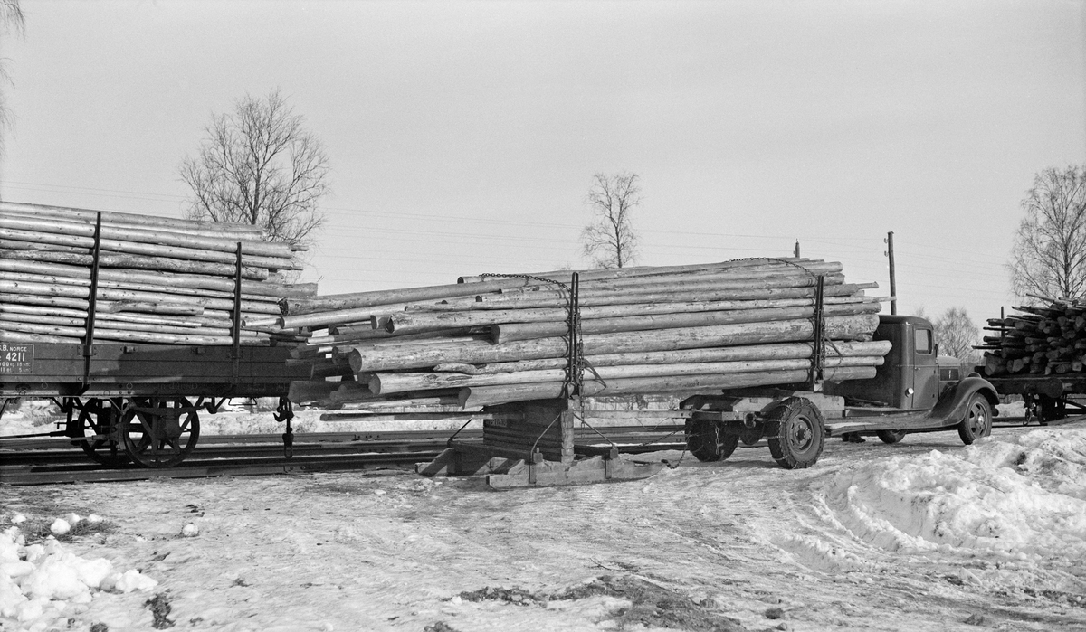 Tømmerkjøring, lastebil med geit, Mårud, Disenå 17/2-1939. 