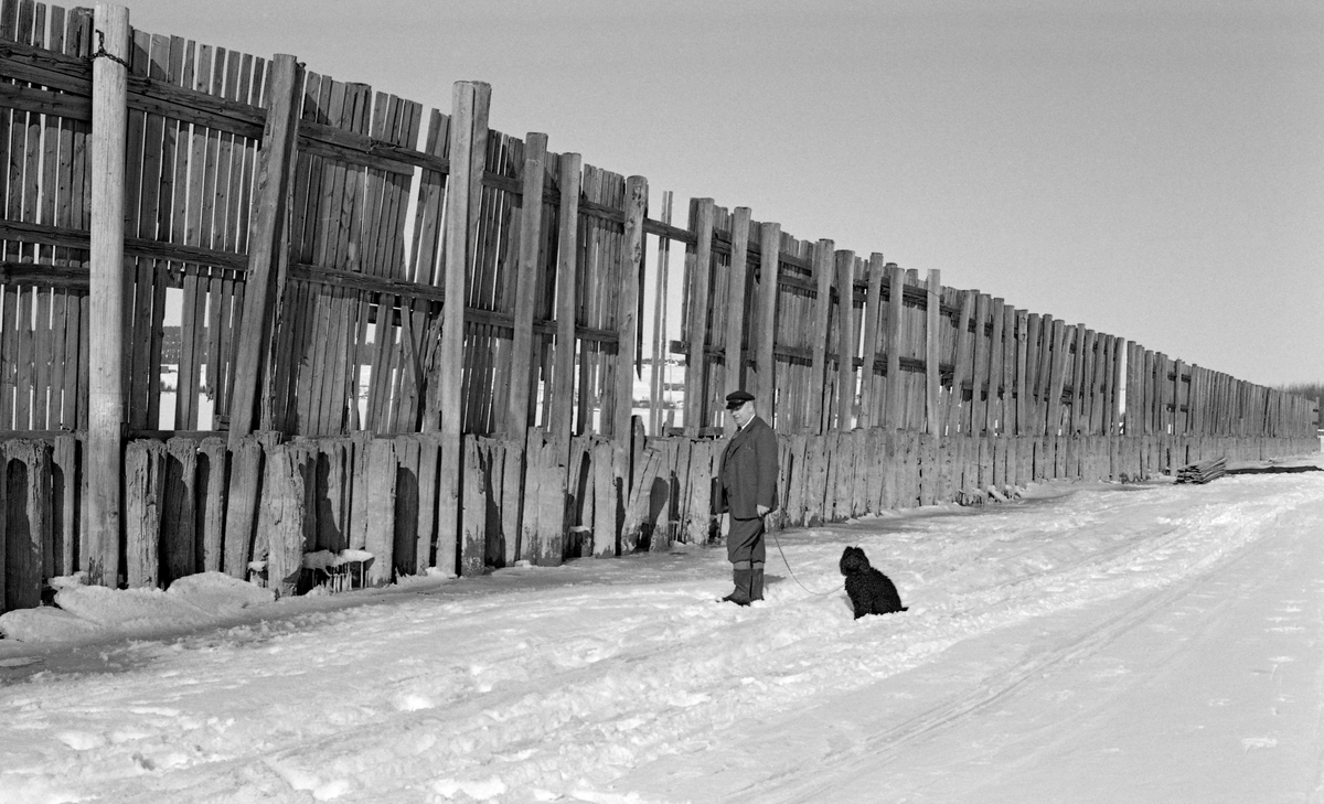 Del av den cirka 650 meter lange tømmerskjermen på Vestvollen i Fet, like ved Nitelvvassdragets utløp i Glommavassdraget i nordenden av innsjøen Øyeren.  Dette fotografiet er tatt på seinvinteren i 1958, på et tidspunkt da vassdraget var islagt og snødekt.  En mann - antakelig en fløtingsfunksjonær - med bandhund inspiserte skjermen, som tydelig var bygd i to etapper, med en lav «stolpegard» først og en høyere plankeskjerm bakenfor.  Fetværingene kalte denne konstruksjonen for «Vindveggen», lillestrømlingene brukte betegnelsen «Stormgjerdet». Vindveggen, Svelle.

Årsaken til at det var reist en slik skjerm her var at sagbrukene og cellulosefabrikken på Lillestrøm kjøpte mye tømmer oppover langs Glommavassdraget.  Dette virket ble fløtet ned til Fetsund lenser, der det ble sortert etter kjøpermerker og «soppet» (buntet).  Deretter ble det buksert rundt neset som skiller lenseanlegget på Fetsund og Nitelvvassdraget og lagt ved Vestvollen, altså på vestsida av det samme neset.  Her hadde den nevnte industrien på Lillestrøm et flytende tømmerlager, der «soppene» (tømmerbuntene) lå inn til sagbrukene eller cellulosefabrikken hadde behov for det i sin produksjon.  Vinder fra nord eller nordvest kunne skape bølger og dermed øve et betydelig press på soppene, som i verste fall kunne slite seg og drive tilbake mot Glommavassdraget.  Dette var bakgrunnen for at den avbildete skjermen ble reist, først som en lav stolpegard - ei rekke av tettstilte påler som ble drevet ned i botnslammet - seinere av den langt høyere plankeveggen vi ser på dette fotografiet.  Vinden, vannet og ikke minst isen slet på disse konstruksjonene.  Tilsyns- og reparasjonsarbeider ble helst gjort vinterstid, da isen var en utmerket arbeidsplattform.