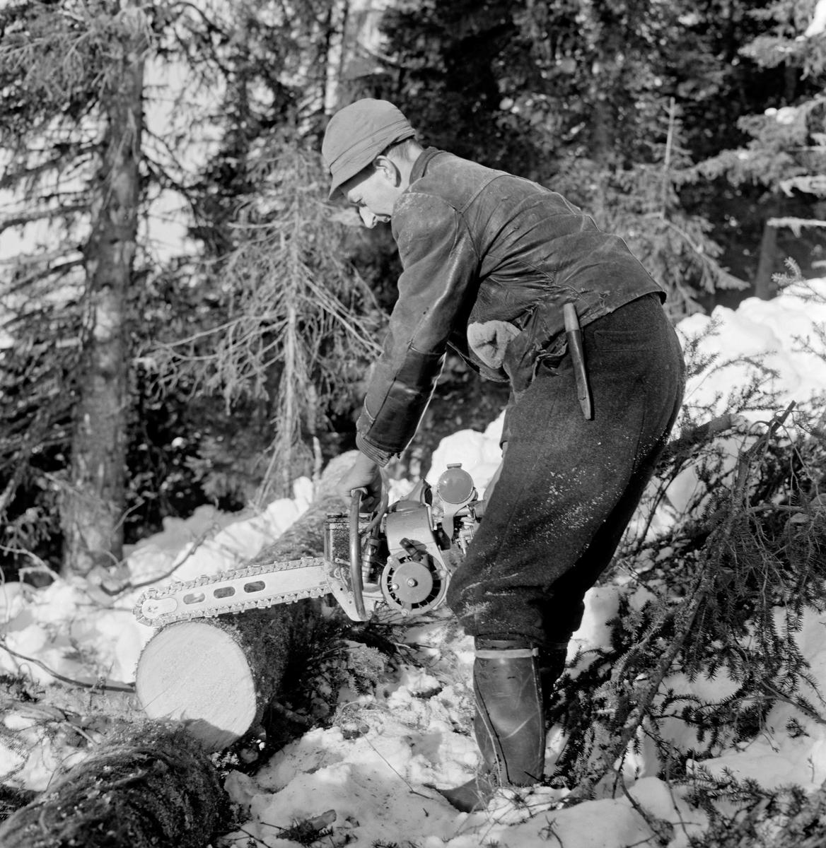 «Tømmerfelling, Vestre Gausdal, Oppland. Kristofer Kronberget (i mørk jakke) og Ottar Gudbjørnsrud, begge fra Bødal i arbeid. 1967»