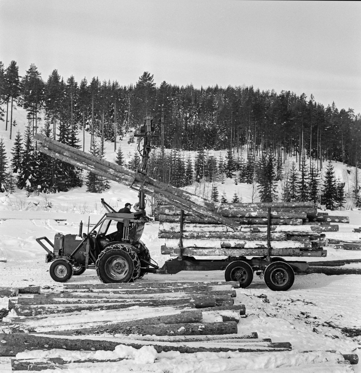 Tømmerkjøring med traktor på Jømna i Elverum kommune i Hedmark vinteren 1969.  Fotografiet viser en mann som står på knærne i traktorsetet - bakovervendt - og betjener ei kran med gripeklo, som løfter tømmerstokker opp på en tilhenger med to akslinger, antakelig en ombydgd lastebiltilghenger. 

Traktorer med tømmertilhenger og griplasterkran ble lansert som en nyhet i slutten av 1960-åra.  Da hadde den svenske produsenten HIAB lansert sin «skogselefant».  De norske skogteknologegne var skeptiske til denne maskintypen.  Med den norske eiendomsstrukturen og i norsk terreng var det de rammestyrte helstammelunnerne som var framtidsrettet, hevdet de.  Mjøsen, Glommen og Nedre Glommen skogeierforeninger satte likevel i gang forsøk med det de kalte «kombinasjonsmaskiner» - traktorer med griplastere og boggidoninger.  I slutten av 1960-åra kunne norske maskinleverandører tilby flere varianter av slike maskiner.  Den svenaske «skogselefanten» med HIAB-kran på en rammestyrt traktor var den mest avanserte, men det ble også levert svenske og finske krantyper som kunne monteres på kraftige landbrukstraktorer.  Også den norske maskinfabrikken Hymas i Brumunddal bygde tidlig ei gripeklo som kunne monteres i steden for skuffa på bedriftens traktorgravere, som allerede var mye brukt i det norske skogbruket.  Dermed kunne man få helårsdrift på en traktor som inntil da i hovedsak hadde vært brukt sommerstid.  Som tømmerlastingsmaskin var Nuffieldene med kraner fra Hymas mest anvendelige på velteplasser, men de kunne også trekke tilhengere med tømmer som var pålesset ved hjelp av traktorkrana.  Det er usikkert om det vi ser på fotografiet er et Hymas-produkt, eller om det er en svensk modell.  

Etter hvert måtte de rammestyrte stammelunnerne vike plassen for «kombinasjonsmaskiner» med kran og tilhenger for tømmerlass.  Skogteknologene gav dem etter hvert betegnelsen «lastetraktorer», mens maskinforhandlerne brukte betegnelsen «lassbærere», for å tydeliggjøre at det tømmeret man fikk fram ikke ville være sølete og tilgriset, slik stammelunnet virke kunne være, i hvert fall i sommerhalvåret. 