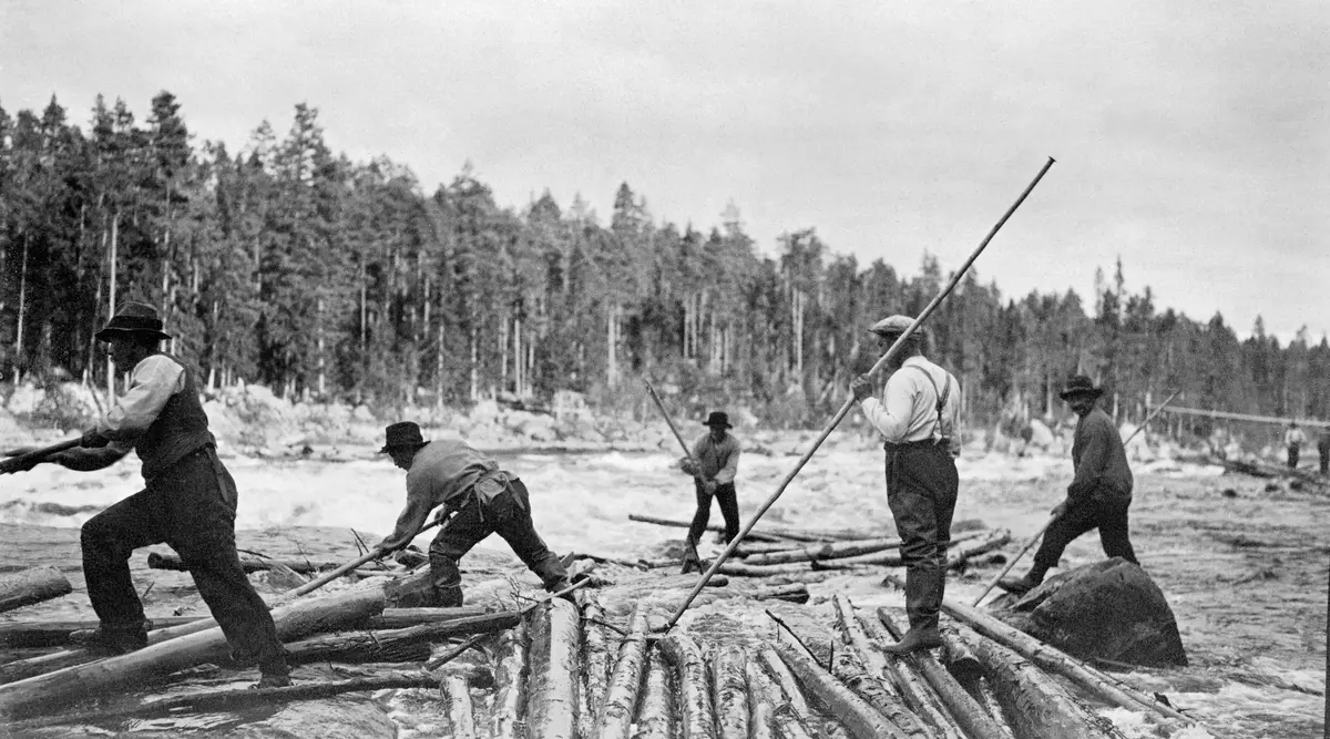 Fra tømmerfløting i Trysil, antakelig omkring 1920.  Fotografiet er tatt på et sted der en del tømmer hadde strandet i et parti med en del oppstikkende steiner.  Her var fem fløtere i sving med å løsne stokkene ved hjelp av fløterhaker.  Målet var å få dem tilbake i de frie vannmassene mer sentralt i elveløpet, der strømmen ville føre dem videre.