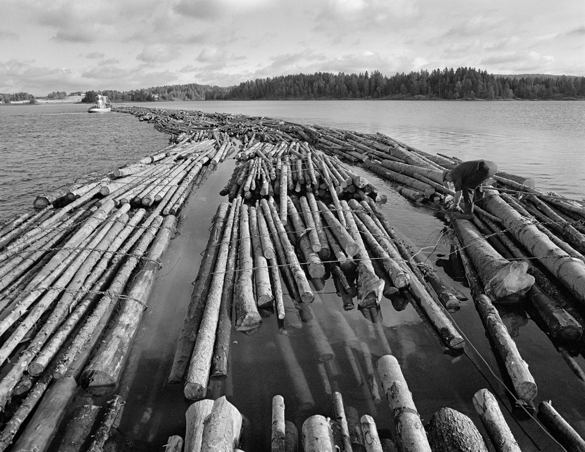 Sammenbinding av tømmerslep ved et flåtested i nordenden av Aremarksjøen i Østfold. Fotografiet er tatt i 1982, som var den siste sesongen det ble fløtet tømmer i Haldenvassdraget.  Fløtingsvirket i Haldenvassdraget ble de siste driftsåra utislått som lastebilbunter.  Disse buntene ble bundet sammen i store slep, som ble buksert over innsjøene med kraftige slepebåter som trekkraft.  Ved slusestedene måtte imidlertid slepene deles opp i kortere lenker, som fikk plass i slusekamrene.  Nedenfor slusene ble slusevendingene bundet sammen i lengre lenker igjen, og flere slike lenker ble samlet til store, rektangulære slep.  Over disse ble det spent en langsgående såkalt «revevaier» med en «hanefot» bakerst for sleping.  Det var disse vaierne slepelina ble festet i.  I bakgrunnen på dette fotografiet, foran slepet, ser vi slepebåten «Mette Meng».  Mannen som bandt vaier til høyre i forgrunnen var Odd Johansen. 

En liten historikk om tømmerfløting og kanaliseringsarbeid i Haldenvassdraget finnes under fanen «Opplysninger».