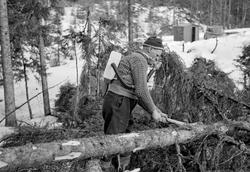 Skogsarbeider Gustav Tallakstad (1911-1982) fra Lardal i Ves