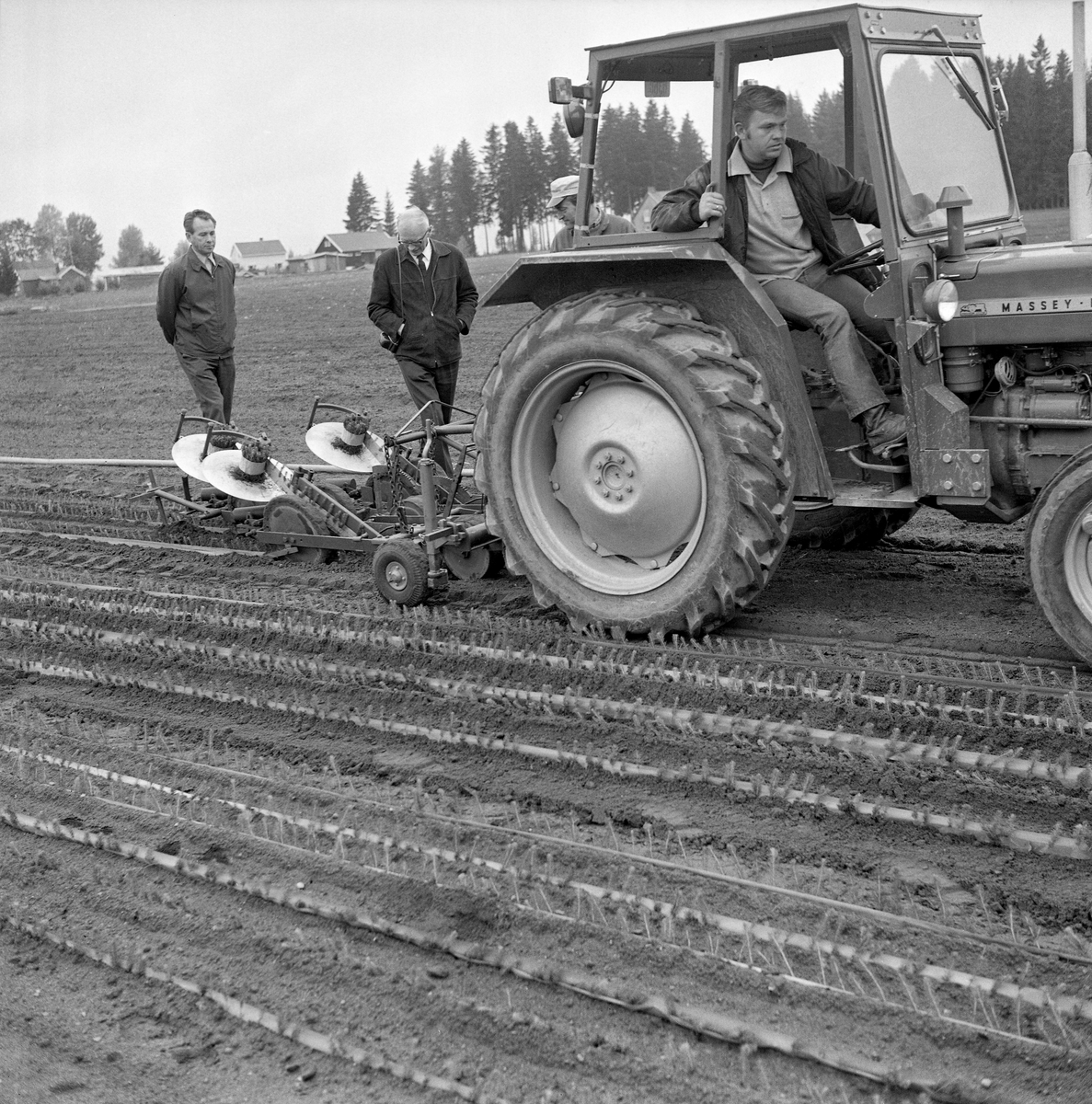 Trakormontert plantemaskin fotografert ved Furusmo planeskole ved Gardermoen i Ullensaker kommune i Akershus høsten 1971.  I den tida da dette fotografiet leverte norske skogplanteskoler overveiende barrotplanter som hadde gjennomgått en todelt produksjonsprosedyre før de var salgsklare.  Først ble frøet sådd i såkalte «såsenger».  Der spirte plantene vanligvis svært tett.  Etter to sesonger ble de derfor løsnet og ompriklet – plantet på nytt på et annet areal, der de vanligvis ble stående i en til tre sesonger før de var robuste nok for salg.  Opptak og omplanting var arbeidskrevende prosesser, som helst skulle fullføres i løpet av en kort periode i før sommervarmen kom.  I 1960- og 70-åra ble det stadig vanskeligere for planteskolene å mobilisere arbeidskraft i slike korte sesonger.  Det var god tilgang på skoleungdom midtsommers, men vanskeligere å finne ledige hender til de arbeidene som måtte gjøres før eller etter skoleferien.  Ved Furusmo tilbød man, med vekslende hell, soldater som var forlagt på Gardermoen kveldsarbeid.  «Økt mekanisering vil stadig være aktuelt, da mangelen på arbeidskraft blir mer og mer følbar, især tidlig på våren og seint på høsten», rapporterte planteskolebestyreren i 1968.  Samme år investerte Furusmo planteskole i en vibrerende planteløfter (for planteopptak) og denne prikleplantemaskinen, som var bygd ved Landbruksteknisk Institutt på Ås.  De første forsøkene med maskinen fikk et «ganske bra» utfall.  I 1969 ble 200 000 planter ompriklet med dette utstyret, en forholdsvis liten andel av den totale mengden priklepanter på om lag 3 millioner.  De maskinpriklete plantene greide seg imidlertid såpass bra, at man var innstilt på å øke bruken av maskinen.  Følgelig ble den brukt på 300 000 planter i 1970 og 500 000 planter i 1971, etter at Landbruksteknisk institutt hadde forbedret den noe.  Traktoren, en dieseldrevet Massey Ferguson 135 diesel, ble innkjøpt i 1969 nettopp med sikte på mekanisering av stadig flere oppgaver i planteskolen.

Da dette fotografiet ble tatt var det arbeidsformann Lars Opperud som kjørte traktoren.  Bak plantemaskinen ser vi planteskolebestyrer Odd Markhus og konstruktøren fra Landbruksteknisk institutt.