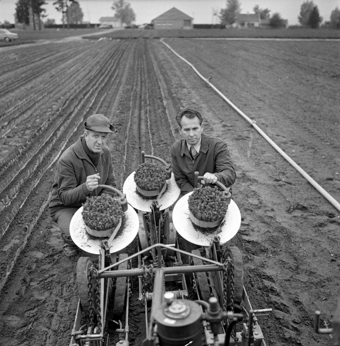 Plantemaskin for omplanting av såkalte prikleplanter ved Furusmo planeskole ved Gardermoen i Ullensaker kommune i Akershus.  Fotografiet viser to menn som poserer bak maskinens tre plantebeholdere.  Mannen til høyre er daværende planteskolebestyrer på Furusmo, Odd Markhus.  I den tida da dette fotografiet leverte norske skogplanteskoler overveiende barrotplanter som hadde gjennomgått en todelt produksjonsprosedyre før de var salgsklare.  Først ble frøet sådd i såkalte «såsenger».  Der spirte plantene vanligvis svært tett.  Etter to sesonger ble de derfor løsnet og ompriklet – plantet på nytt på et annet areal, der de vanligvis ble stående i en til tre sesonger før de var robuste nok for salg.  Opptak og omplanting var arbeidskrevende prosesser, som helst skulle fullføres i løpet av en kort periode i før sommervarmen kom.  I 1960- og 70-åra ble det stadig vanskeligere for planteskolene å mobilisere arbeidskraft i slike korte sesonger.  Det var god tilgang på skoleungdom midtsommers, men vanskeligere å finne ledige hender til de arbeidene som måtte gjøres før eller etter skoleferien.  Ved Furusmo tilbød man, med vekslende hell, soldater som var forlagt på Gardermoen kveldsarbeid.  «Økt mekanisering vil stadig være aktuelt, da mangelen på arbeidskraft blir mer og mer følbar, især tidlig på våren og seint på høsten», rapporterte planteskolebestyreren i 1968.  Samme år investerte Furusmo planteskole i en vibrerende planteløfter (for planteopptak) og denne prikleplantemaskinen, som var bygd ved Landbruksteknisk Institutt på Ås.  De første forsøkene med maskinen fikk et «ganske bra» utfall.  I 1969 ble 200 000 planter ompriklet med dette utstyret, en forholdsvis liten andel av den totale mengden priklepanter på om lag 3 millioner.  De maskinpriklete plantene greide seg imidlertid såpass bra, at man var innstilt på å øke bruken av maskinen.  Følgelig ble den brukt på 300 000 planter i 1970 og 500 000 planter i 1971, etter at Landbruksteknisk institutt hadde forbedret den noe.  Etter dette heter det at planteresultatene var meget tilfredsstillende, noe som antakelig var noe av bakgrunnen for at man inviterte cirka 30 norske planteskolefolk for å se maskinen i drift.  Dette fotografiet er fra denne demonstrasjonen.