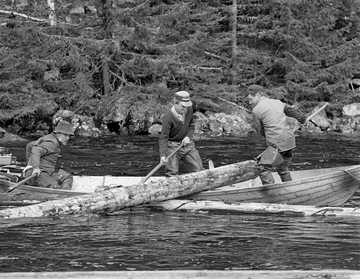 «Sluttrensk» av fløtingstømmer langs strendene på Storsjøen i Ytre Rendalen våren 1984.  Tømmerstokker som hadde sklidd ut av lenser eller ringbommer og lå og fløt fritt i sjøen ble samlet opp fra de små trebåtene Glomma fellesfløtingsforening disponerte.  I dette tilfellet ble det brukt en «Flisa-båt», lagd i organisasjonens eget båtbyggeri i Solør.  Karene på dette bildet er Per Sindre Nyberget, som manøvrerte båten fra en sittende posisjon akterut, mens Joar Brennodden og Knut Lomnes dro en våt og tung stokk opp ved hjelp av fløterhakene sine.  Denne stokken, og gjerne et par andre, ble lagt på tvers av båten, fra ripe til ripe, og kjørt ut til en ringbom som ble brukt til oppsamling av løstømmer.