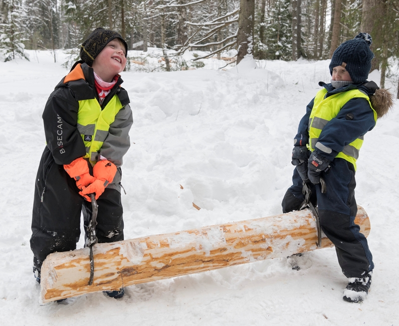 Fra temadagsopplegget «Barnas vinterdag» på Norsk skogmuseum vinteren 2018.  Bildet viser to gutter som løftet en liten stokk med tømmersakser.  «Barnas vinterdag» er en modifisert versjon av temadagsopplegget «Fra stubben til tømmervelta», som er beregnet på barneskoletrinnet.  I 2018 shadde barnehagetilbudet «Barnas vinterdag» cirka 350 deltakere.  Om lag 460 skoleelever var med på «Fra stubben til tømmervelta», som gikk over fem dager.