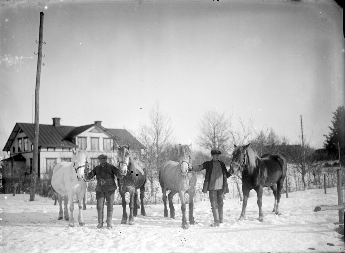 "Vallins i Fröslunda med hästarna ute på planen framför byggningen", Altuna socken, Uppland 1919