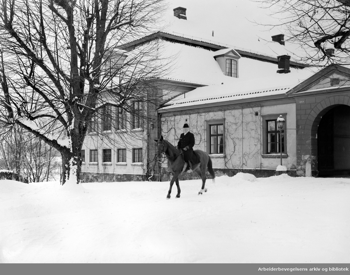 Bogstad gård. November 1954