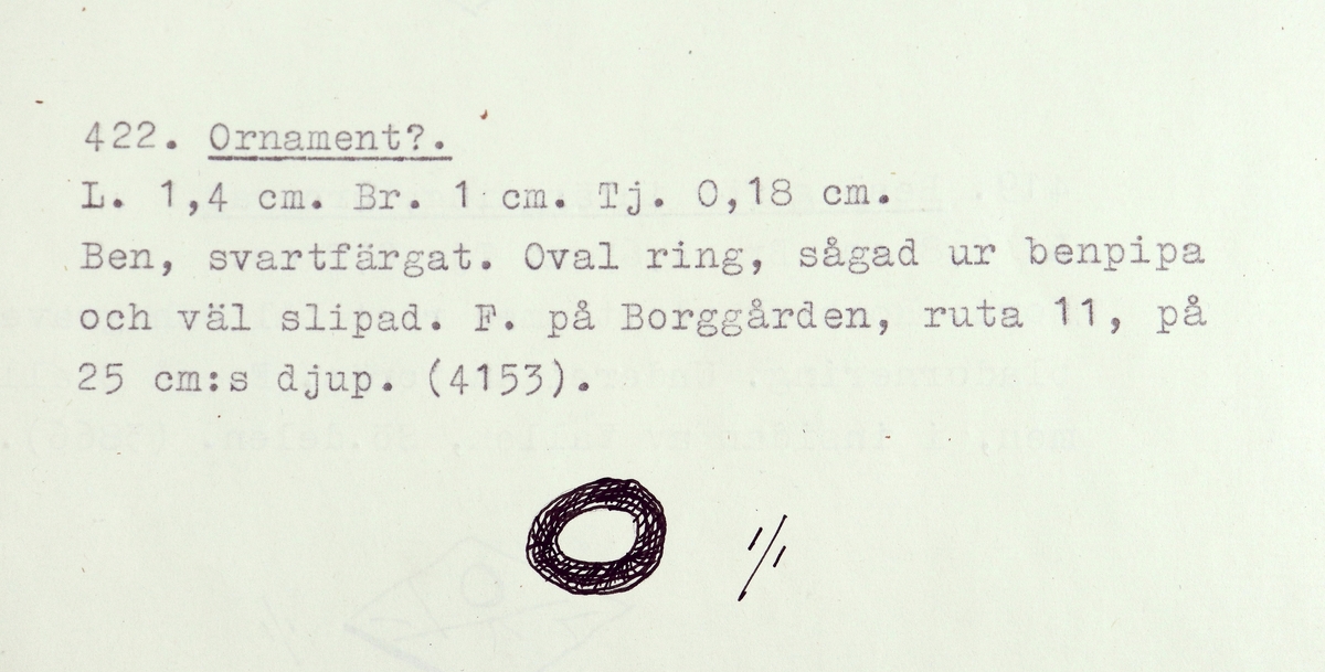 Ornament (?) i form av en oval ring, sågad ur en benpipa och väl slipad.
