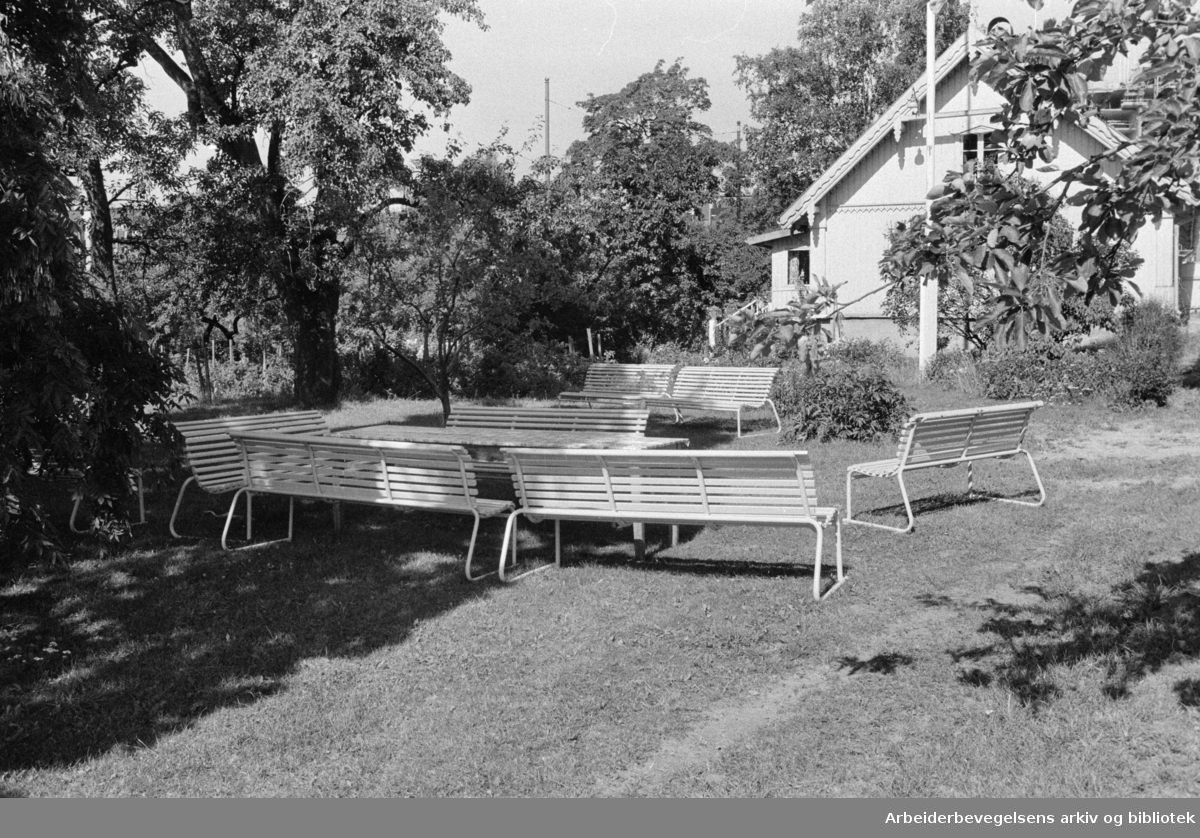 Åsengata 19. En stor hage med gamle frukttrær, benker til de voksne og lekeapparater for barna. August 1975.