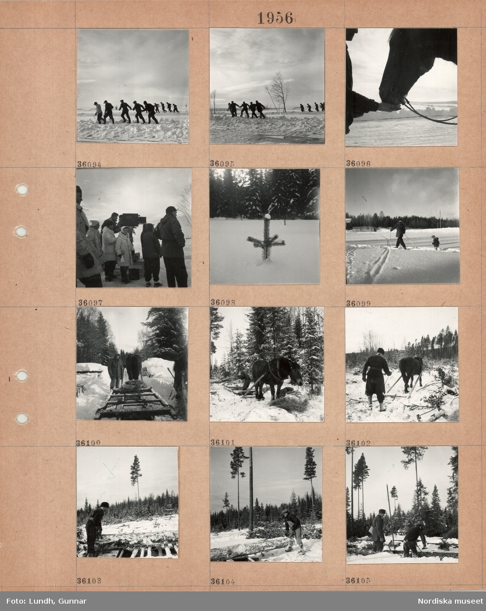 Motiv: (ingen anteckning) ;
En grupp män drar i rep, en man matar en häst, kvinnor och män står vid en filmkamera vid en filminspelning, en granplanta i snön, en vuxen och ett barn åker skidor i ett snötäckt landskap, en man kör en hästdragen släde i en snötäckt skog, en man lastar en timmerstock på en släde.