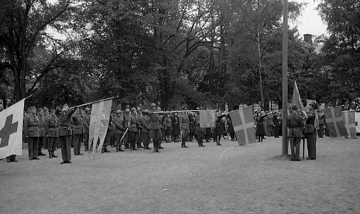 Regementet uppställt i Rådhusparken.