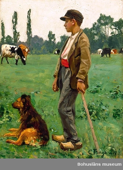 Pojke med hund som vallar kor på landsbygden i Frankrike