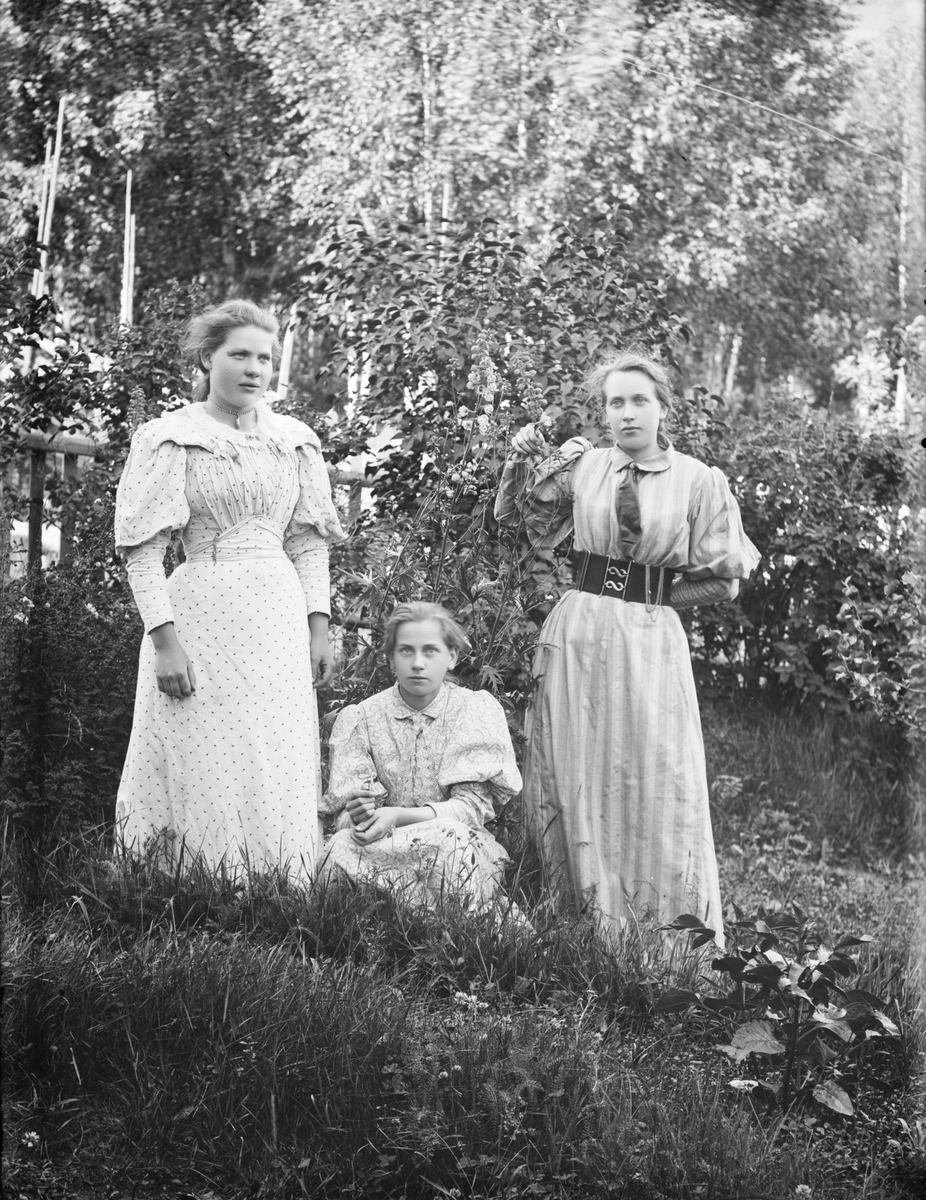 Gruppebilde. Lydia Dahlskog f 1877, med venninner