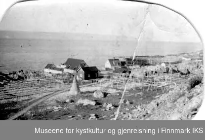 Forbergs fiskebruk på Kvitnes, Berlevåg 1935
