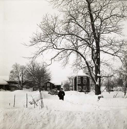En man står på vägen som leder till gården Sunnanåker. Det är Hildings födelsedag, 21 februari 1969.