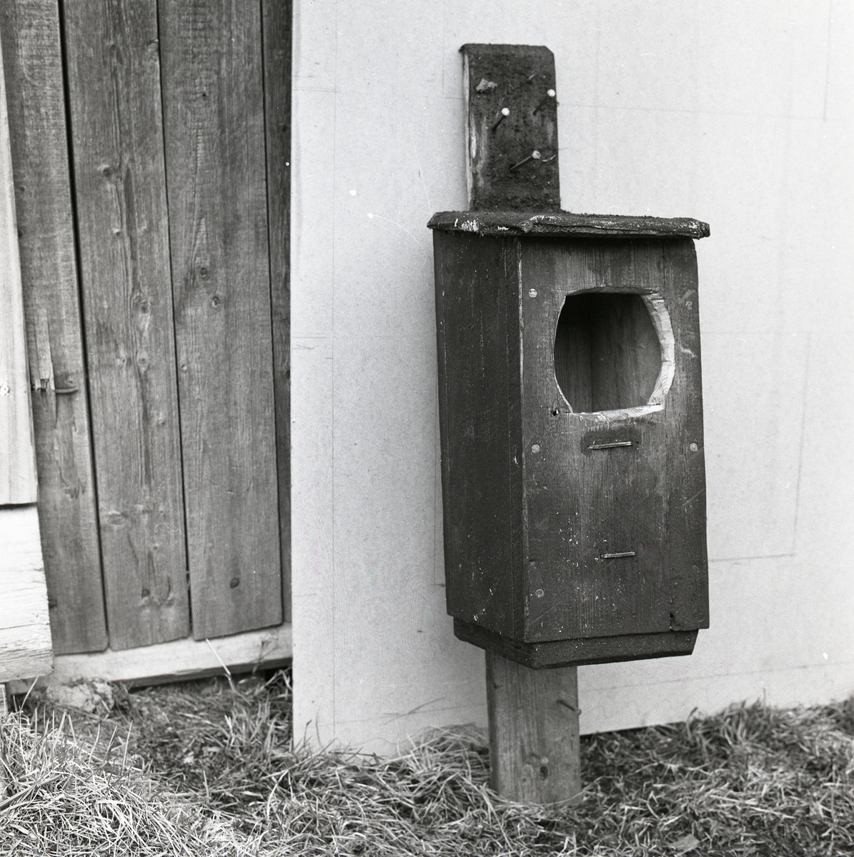 En fågelholk med stort ingångshål står lutad mot en vägg, 10 maj 1959.