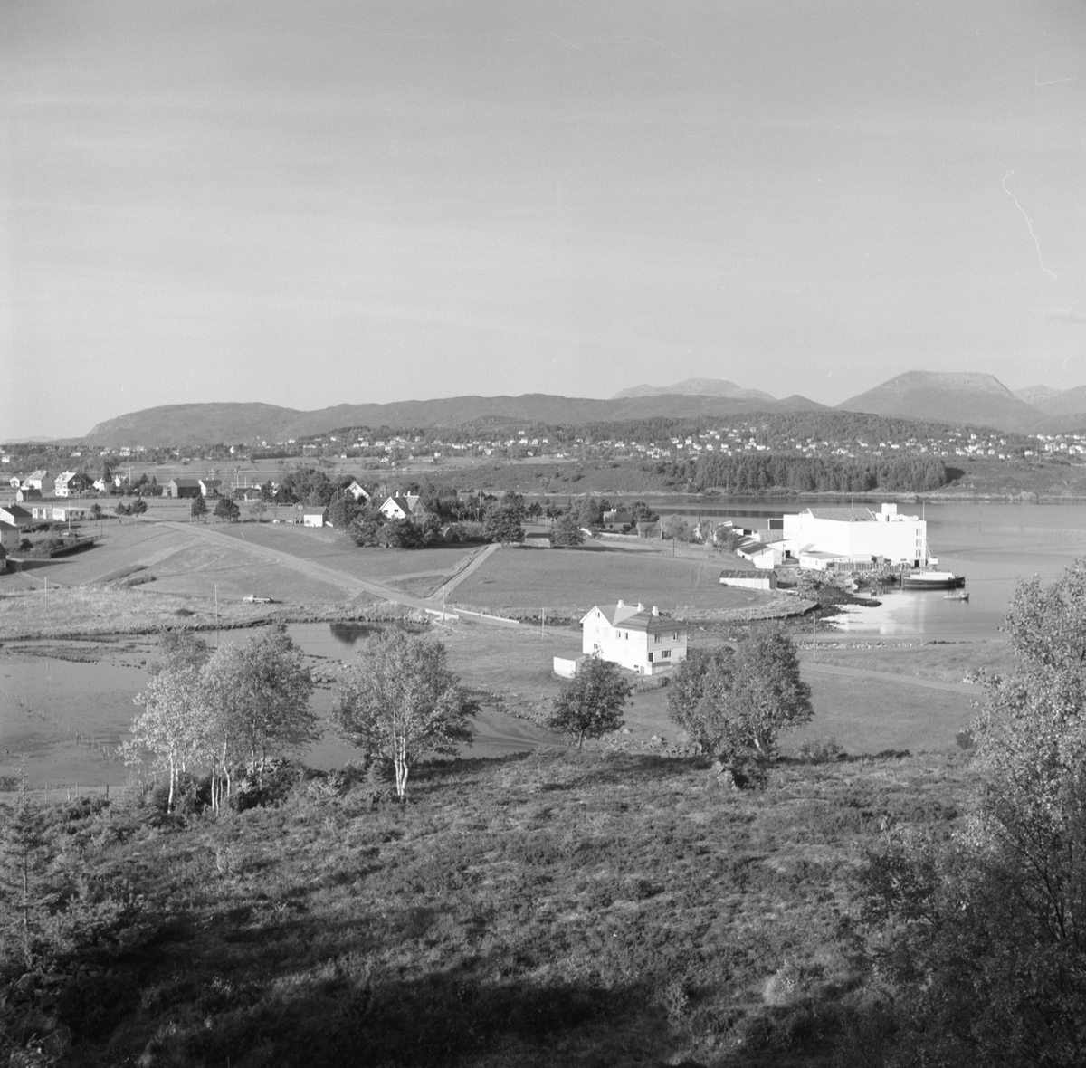 Prospektfotografi av Severin Tranvåg sin fiskebedrift og området rundt. Denne bedrifen er den eldste på Fiskarstranda.