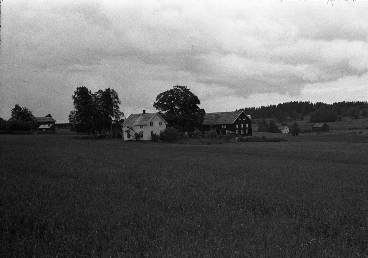 Gårdsbruket Ødegård på Kraby, Østre Toten, juni 1954.