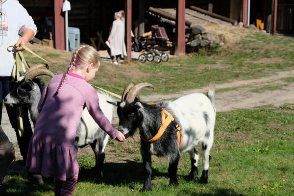 Barnas gård på Folkenborg (Foto/Photo)