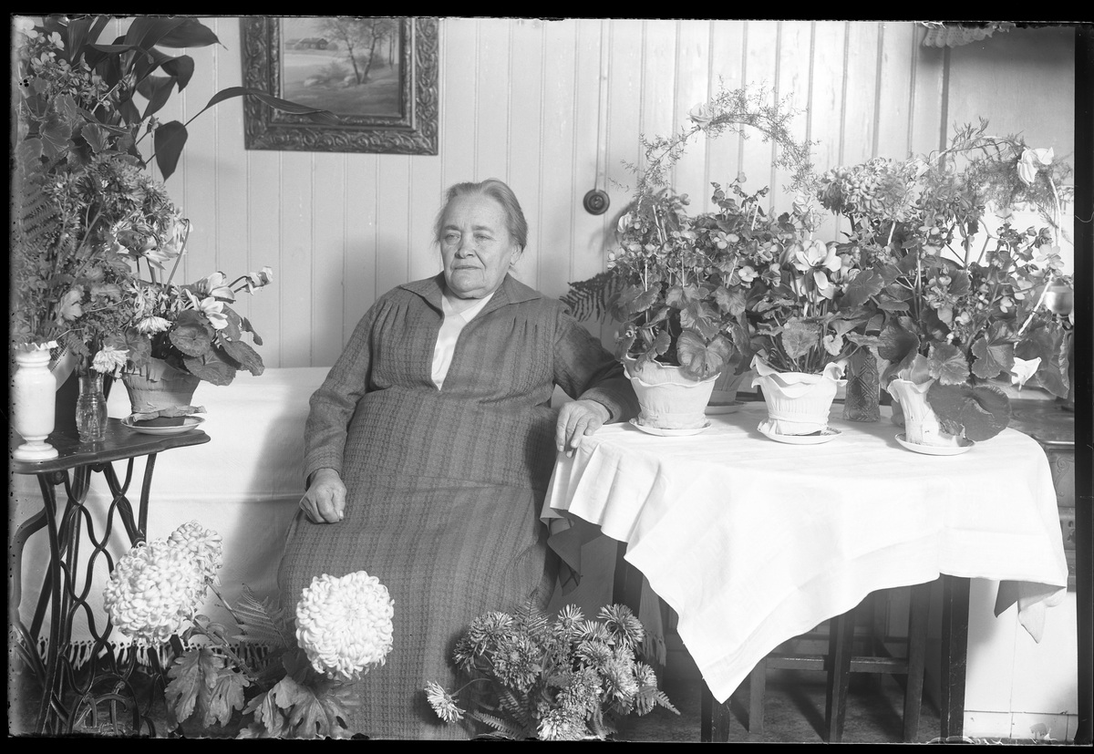 En kvinna sitter vid ett bord, omgiven av blommor. I fotografens anteckningar står det "Lovisa Karlsson 80år".