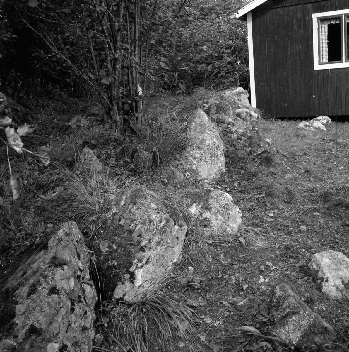 Unikt gravfynd i Ervalla.
Juli 1956.