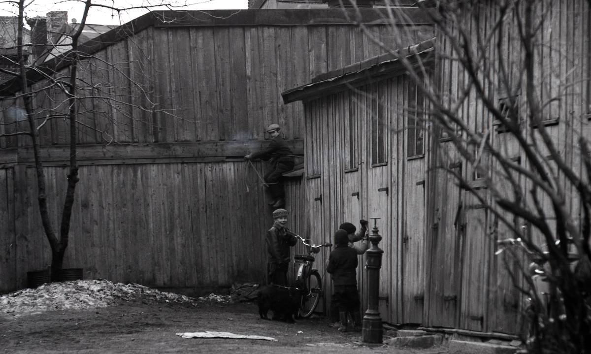 Pojkar leker på bakgård, Uppsala 1961