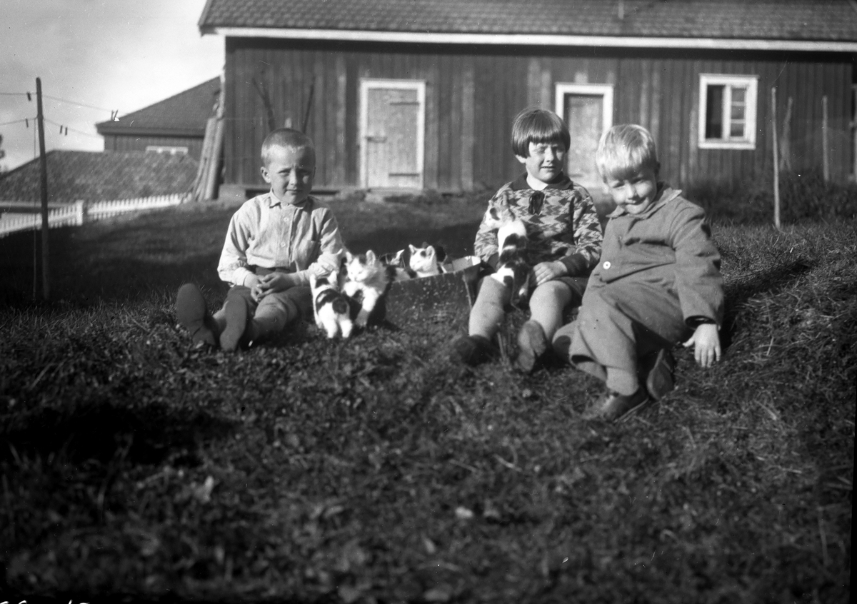 Tre barn med katter i graset.
